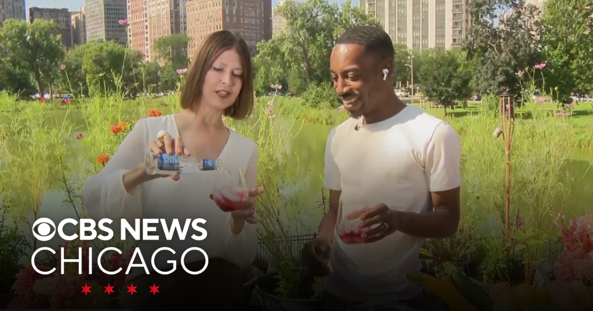 Green City Market's 25th annual Chef BBQ