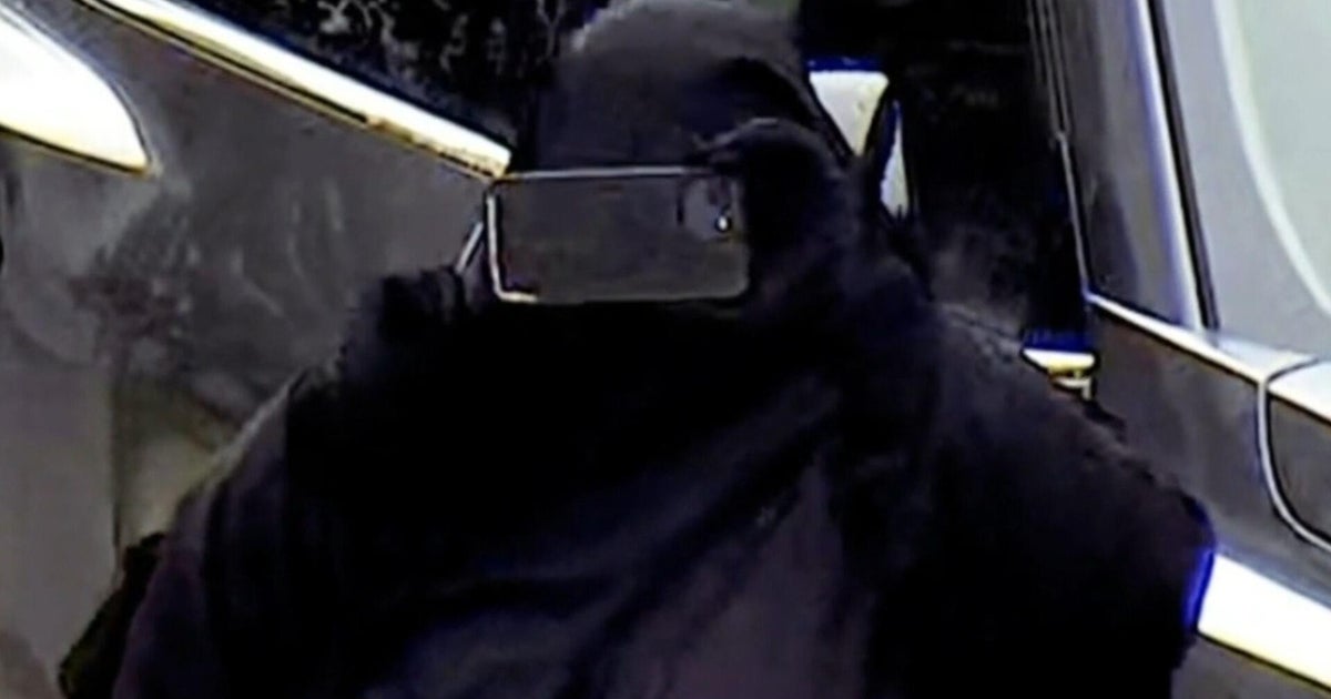 Woman arrested for plot to blow up New York State Capitol