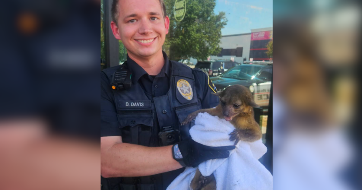 Kangaroo or a monkey? North Texas officers find exotic animal in sweltering heat; search for owners underway