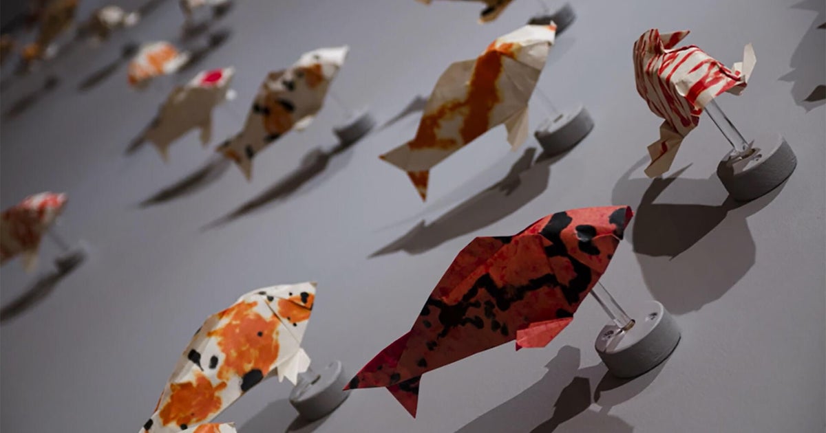 From the ashes arise origami koi