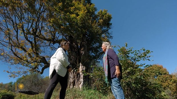 robin-wall-kimmerer-grandmother-maple.jpg