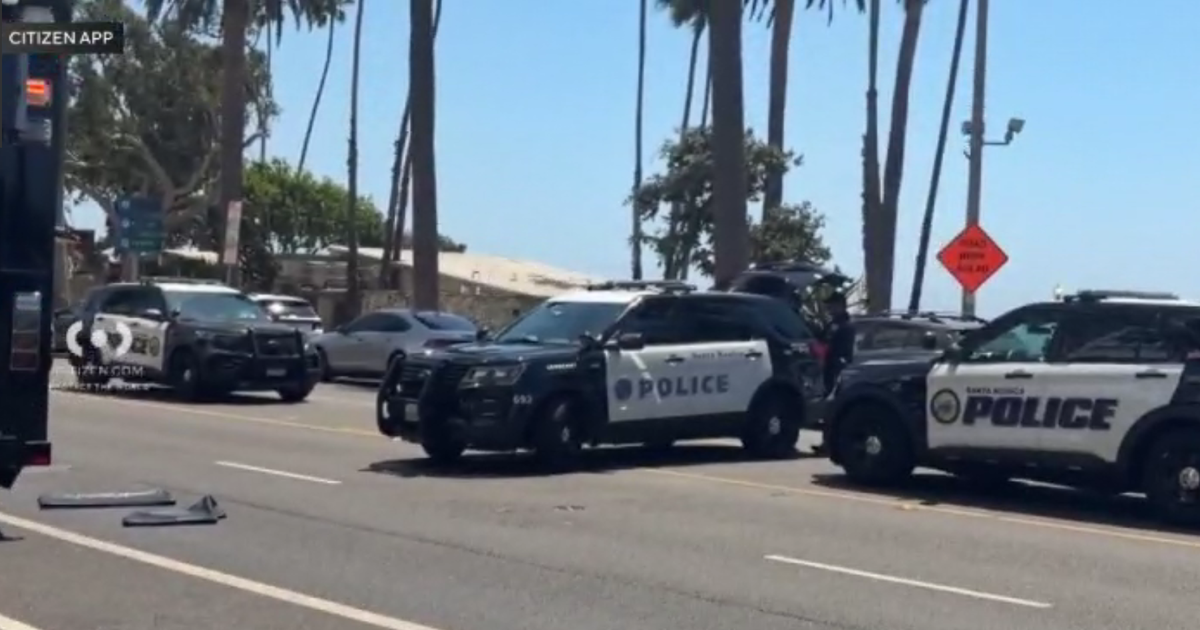 Santa Monica Police Shoot and Kill Knife-Wielding Man at Palisades Park