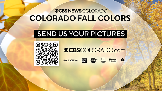 fall-colors-full-screen.png