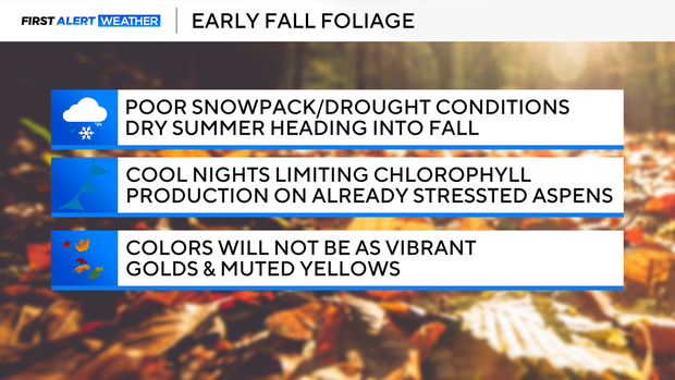 fall-foliage.png