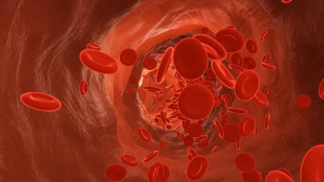 Clinical trial in Philadelphia gives new hope for rare blood cancer patient 