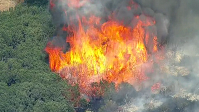 Ross fire 08.24.26 