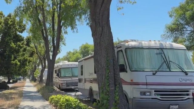 RVs Parked on a Street 