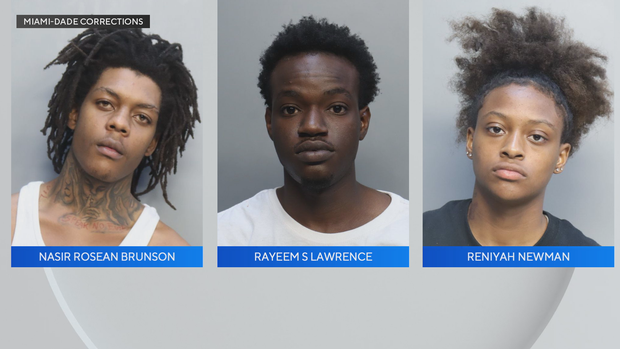 air-bag-theft-ring-suspects.png