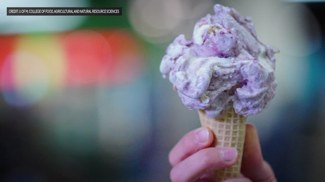 5p-pkg-umn-ice-cream-wccob5p2.jpg 