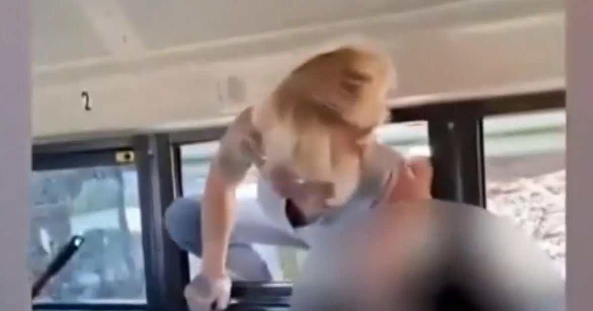 Mom arrested for vandalism after breaking bus window to pull out child