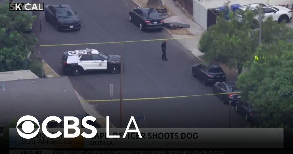 LAPD officer shoots dog after being attacked in South LA