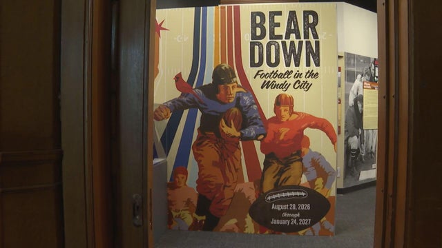 bear-down-exhibit.jpg 
