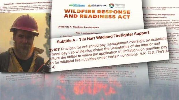 firefighter-law-tim.jpg