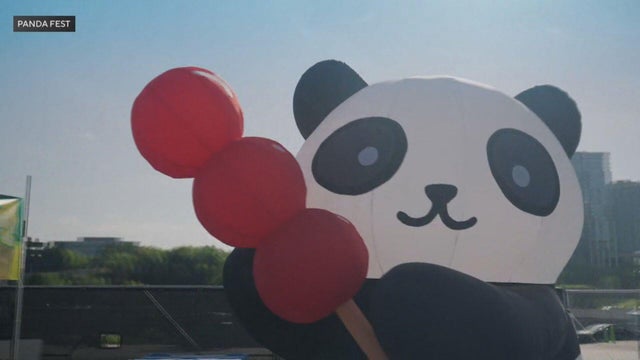panda-fest.jpg 
