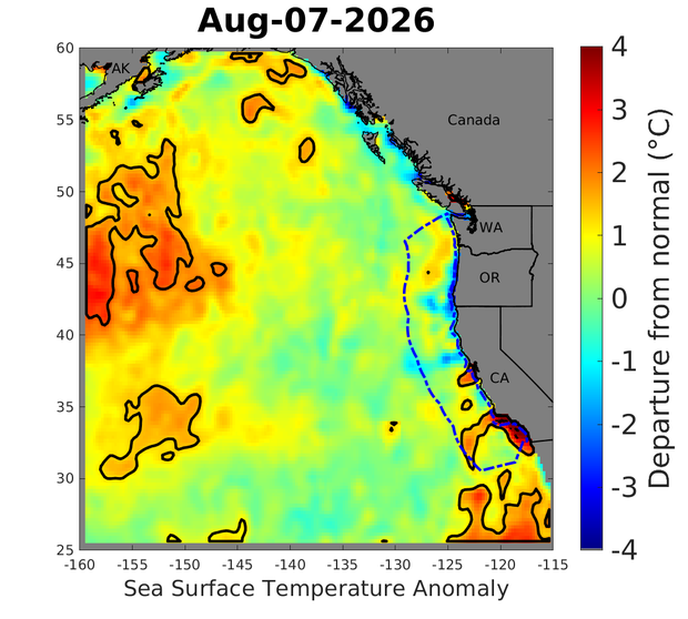 Marine Sea Surface Temperature