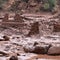 Grand Canyon flash floods leave around 15 missing, dozens evacuated
