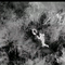 How drones are revolutionizing the search for lost pets