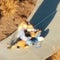 Southern California city deploys drone to track down lost pets