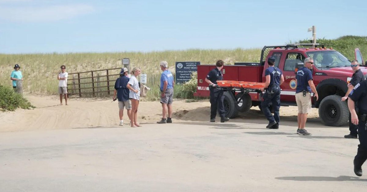 Shark bite confirmed in Martha's Vineyard beach incident that injured swimmer