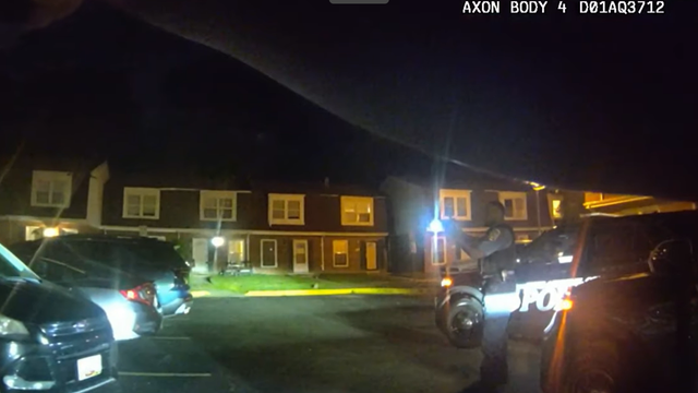 aa-police1.png 