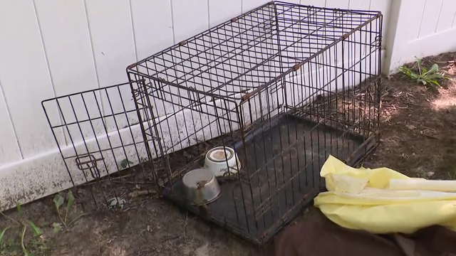 harford-dogs-found-dead.png 
