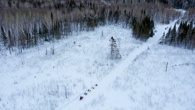 John Beargrease sled dog marathon 