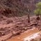 Eye Opener: Search efforts continue for missing Grand Canyon hiker