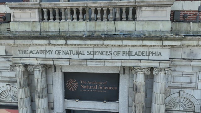 academy-natural-sciences.jpg 