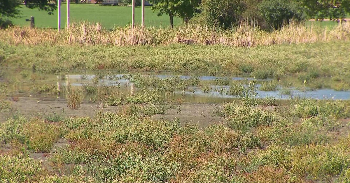 Huston Lake in Denver virtually disappeared leaving neighbors concerned about its future