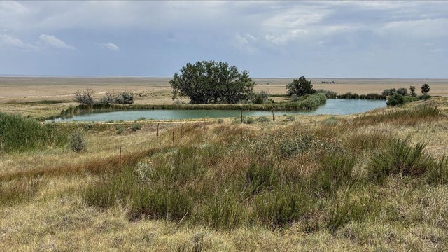 hugo-ponds.jpg 