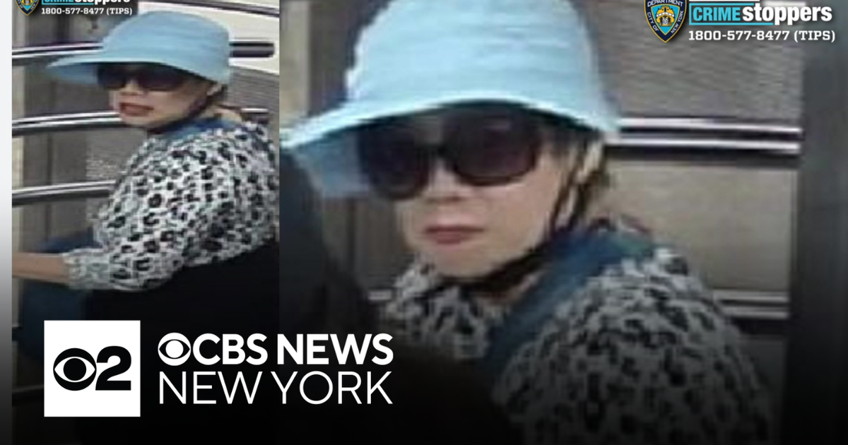 Woman wanted for allegedly trying to kidnap child in NYC, police say