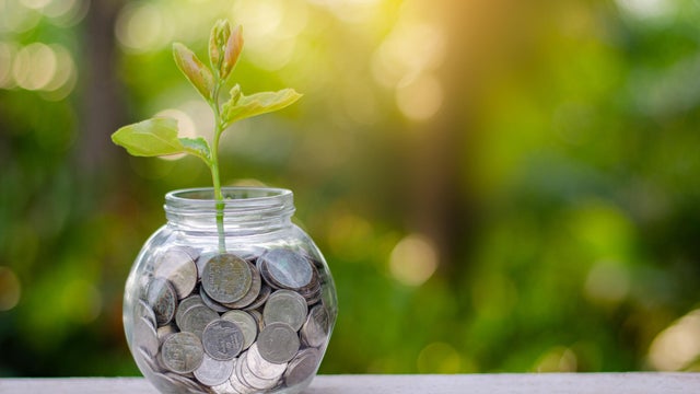 money Bottle Banknotes tree Image of bank note with plant growing on top for business green natural background money saving and investment financial concept 