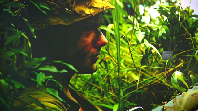 mn-military.jpg 