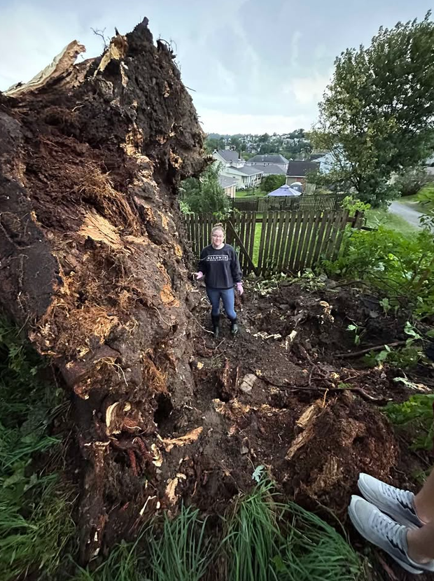 kdka-canonsburg-tree.png