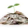 Growing investments. Heap of money with seedling. 