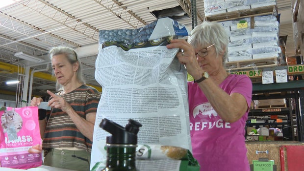 Xcel Energy's Day of Service benefits nearly 40 worthy Colorado organizations
