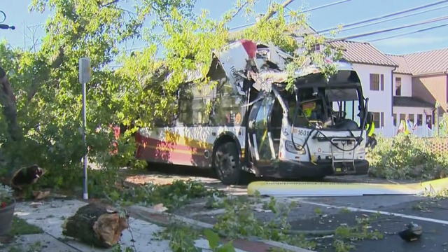 tree-falls-onto-bus-in-reisterstown.jpg 