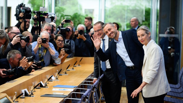 After the State Election in Saxony-Anhalt  AfD 