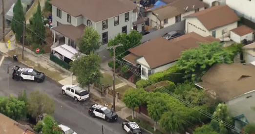 Los Angeles police officer shoots man allegedly armed with pipe