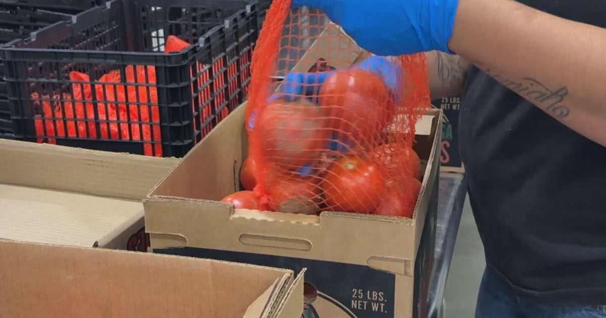 Weld Food Bank welcomes large volunteer groups like Xcel Energy's Day of Service