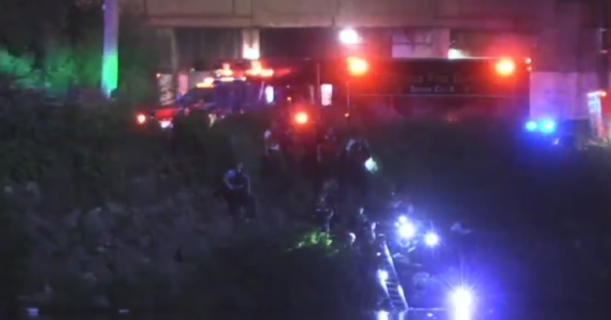 Woman missing after car goes into Little Calumet River