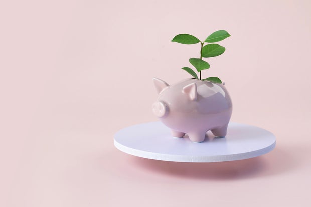 Financial growth concepts still life on pink background.