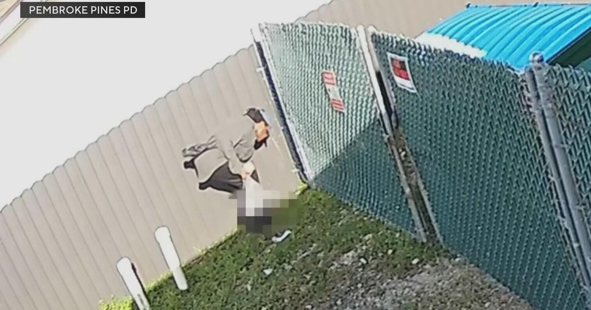 Man accused of killing ducks in Pembroke Pines remains behind bars under probation violation
