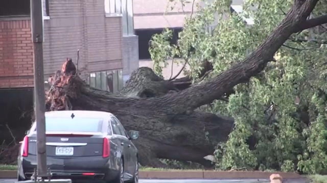 storm-damage.jpg 