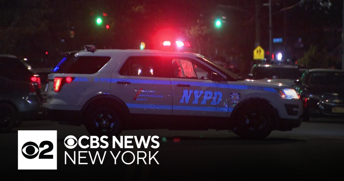 2 Arrested After Carjacking in Canarsie, Brooklyn