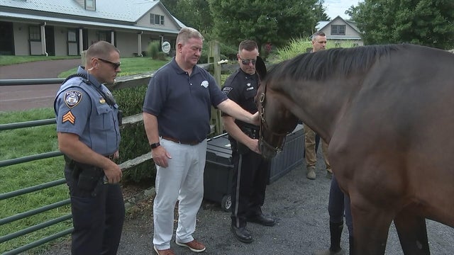 16pkg-ss-equine-therapy-first-responders-transfer-frame-1141.jpg 