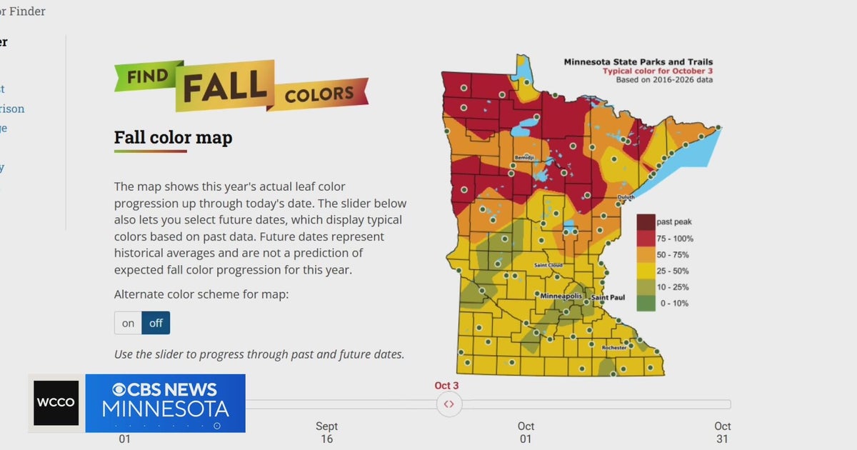 Minnesota's hot, dry summer may reduce fall color brilliance, DNR says
