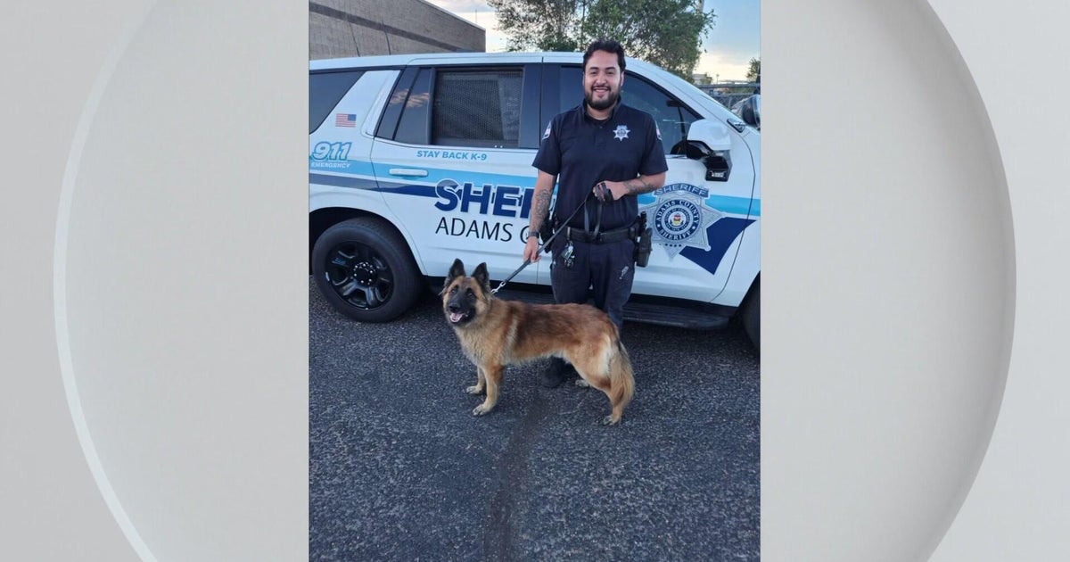 Sheriff's office in Denver metro area introduces new K9 officers
