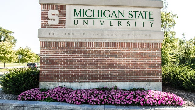 Michigan State University 