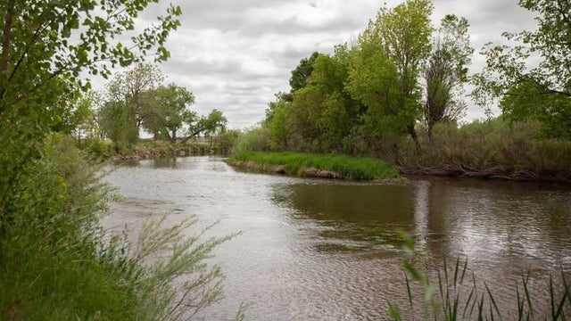 kodak-open-space-windsor-parks-recreation-and-culture.jpg 